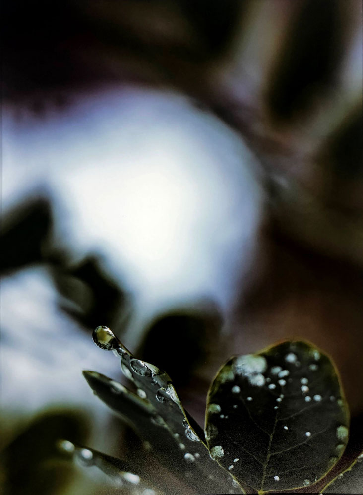 Raindrop
